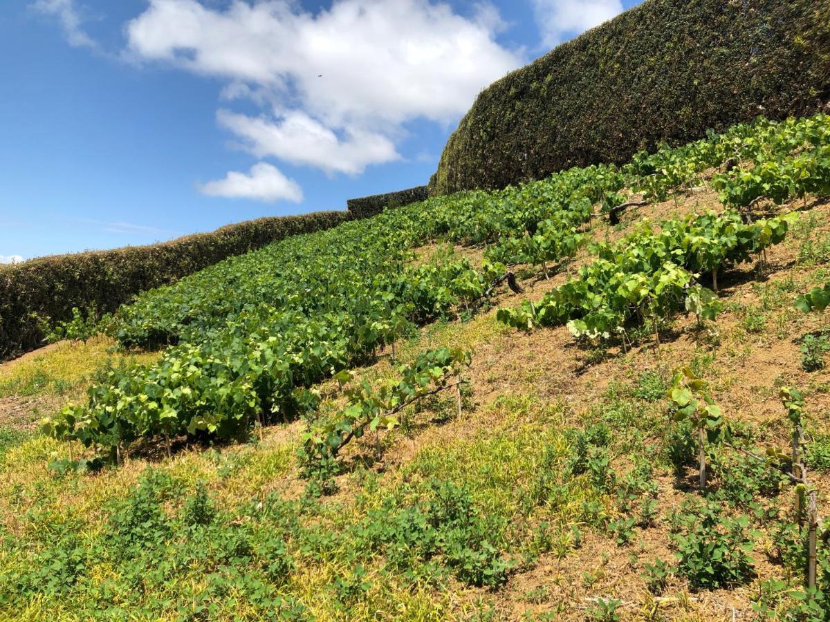 ポンタ・デルガダ Quinta Do Picoヴィラ エクステリア 写真